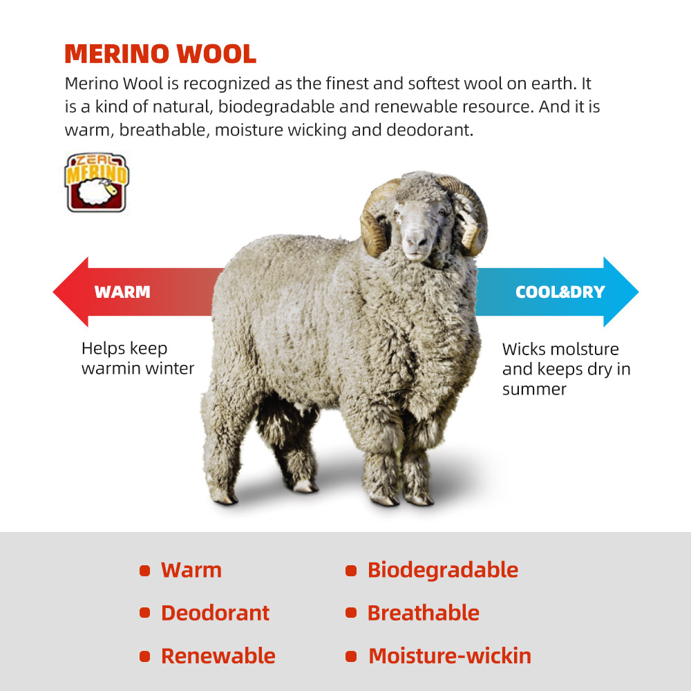ZEALWOOD Calzini da corsa in l - Wool Hiking Sock recensione e prezzo